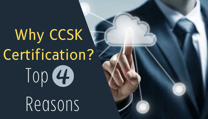 ccsk exam questions, ccsk exam dumps, ccsk practice questions, ccsk dumps, ccsk study guide, ccsk practice test, ccsk study material, ccsk certification dumps, ccsk exam dumps pdf, ccsk sample questions, ccsk questions, ccsk exam questions pdf, ccsk syllabus, ccsk dump, ccsk exam cheat sheet, ccsk practice exam, ccsk exam dump, ccsk practice tests, ccsk certificate of cloud security knowledge all-in-one exam guide pdf, ccsk questions and answers, ccsk exam dumps free, ccsk test questions, ccsk v4 exam questions pdf, ccsk exam prep, ccsk study guide pdf, ccsk pdf, ccsk exam answers, ccsk exam simulator