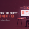 Talend certification banner for the TDICDTS Talend Studio developer exam